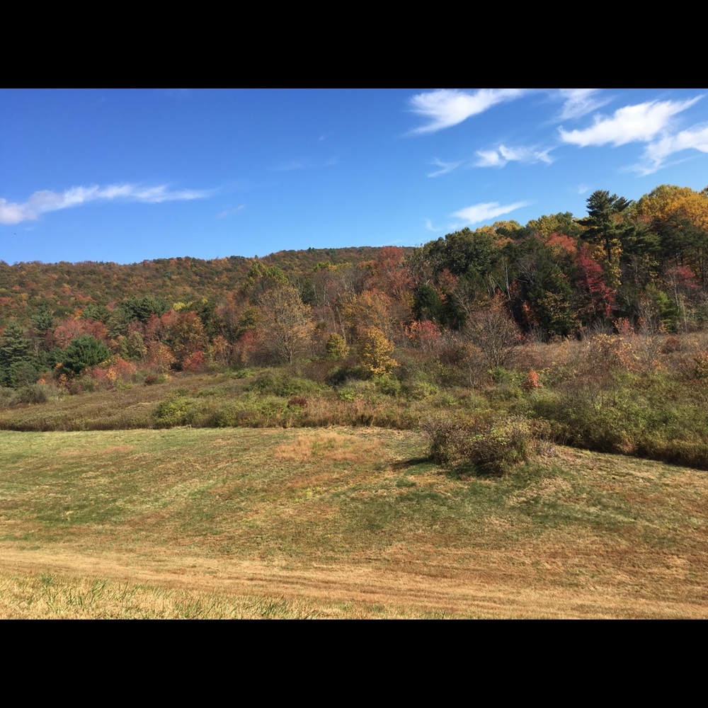 Meet your Posher, Elena